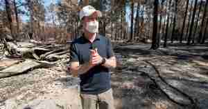 Man wearing a cap and face mask stands in a burned, charred forest scene amid debris and fallen trees.