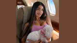 Woman sitting in airplane seat wearing a pink tank top, holding a white fluffy stuffed dog.